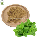 Organic Lemon Balm Leaf Extract For Skin Benefits